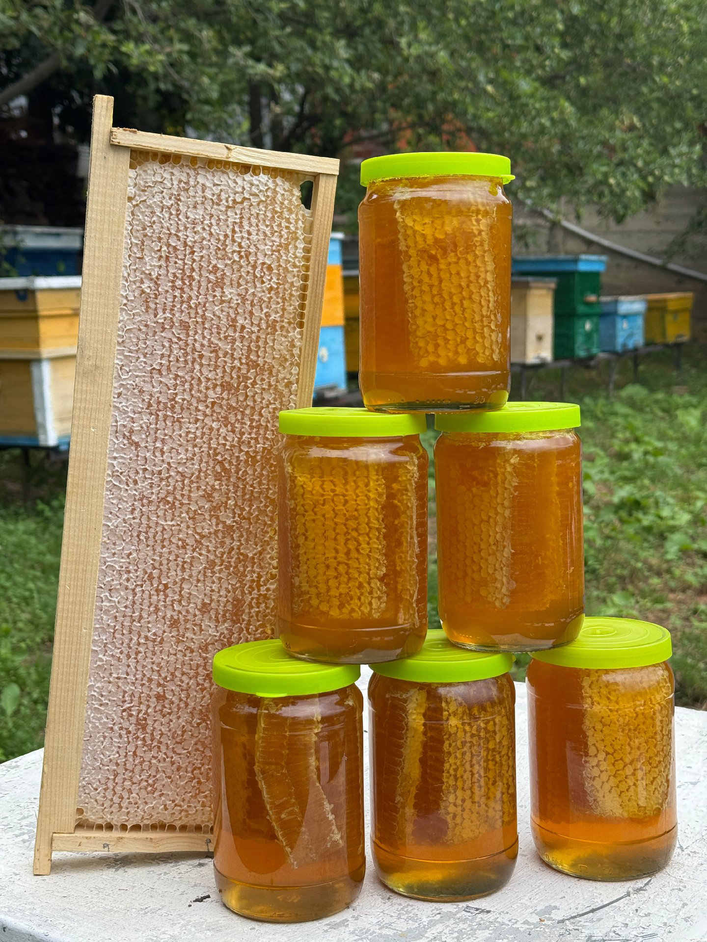Ц1ена моз (Чистый мёд) 🍯